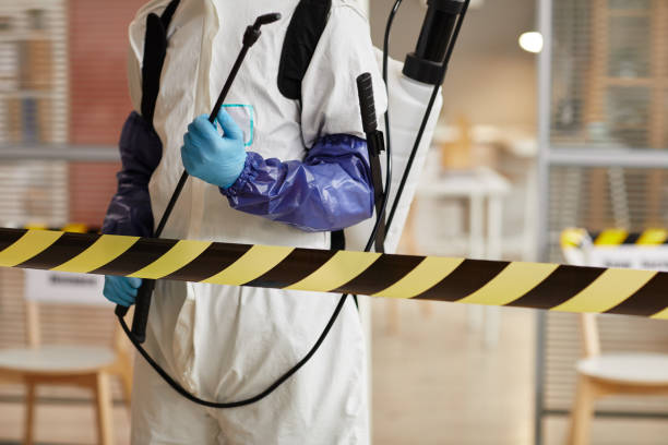 Professional Sewage Cleanup technician working in Howard City, MI